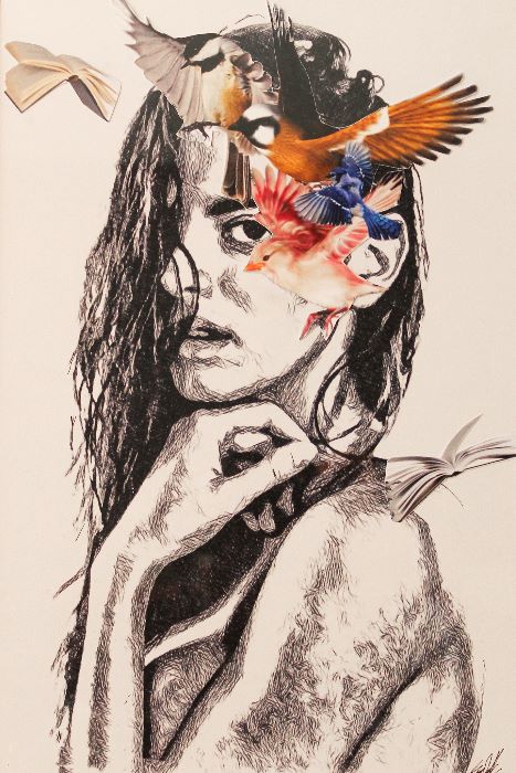 Pajaros